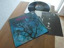 AMON DÜÜL PHALLUS DEI MINT 1969 RARE INSERT KRAUT.LP