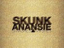 Smashes & Trashes - 4 DISC SET - Skunk Anansie (2010, Vinyl New)