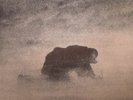 VILLAGES - Procession Acts - Vinyl (LP + MP3 download code)