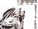 Triptych - 2 DISC SET - Bevis Frond (2015, Vinyl NEW)
