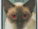 BLINK-182 - Cheshire Cat LP 1996 ORIG Grilled Cheese RED EYES VERSION NEW FOUND
