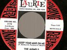 The JARMELS: Come On Girl /Keep Your Mind On Me  Northern Soul dj 45 on Laurie