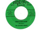 Pleasure Seekers - What a way to die  Never thought...- Hideout Records H 1006