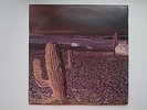 INDIAN SUMMER - INDIAN SUMMER - NEON 1971 UK ORIGINAL LP