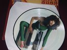 KATE BUSH THE KICK INSIDE VINYL PICTURE DISC RARE.