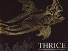 Thrice - Vheissu 2x LP Vinyl NEW