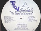 DANNY GOLD - T.S.O.V groove - 12