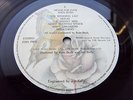KATE BUSH NEVER FOREVER 1980 Press LP MINT TIME CAPSULE COPY WITH POSTER