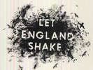 Let England Shake - P.J. Harvey (2011, Vinyl NEW)