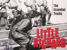 Little Richard ESSENTIAL TRACKS 180g +MP3s BEST OF New Sealed VINTAGE VINYL 2 LP