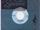 Ral Donner 45 I Got Burned 1963 Billboard # 124 NM Canada Reprise 20141