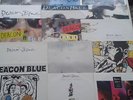 Deacon Blue 15 x Vinyl Records Collectors Combo