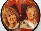 JAN AND DEAN Oddities LP PICTURE DISC