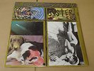 SONIC YOUTH Sister LP 1987 BLAST FIRST UK Original DISNEY AVEDON No Barcode