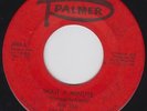 the TURN-ONS wait 45 savage GARAGE surf FREAKBEAT northern soul HOT ROD hear ??