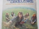 BLACK CROWES UK 12