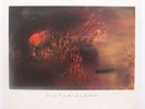 COCTEAU TWINS: Victorialand 4AD ORIG vinyl lp NEAR MINT goth CURE