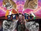 The Underachievers - Colored Deluxe Vinyl Bundle Vinyl 4LP DAdlx09523101n