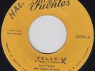 Ralfi PAGAN pelao the girl 45 rare LATIN SOUL mod NORTHERN SOUL dancer HEAR ??