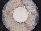 '66 MUZIC CITY ROCKSTEADY 45 JACKIE MITTOO EL BANG BANG/BASIL GABBIDON I NEED..?