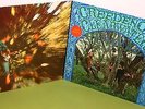 2 LP CCR creedence clearwater revival [1968 +1969] Same +Bayou Country SUZI Q