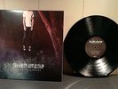 The Amity Affliction Chasing Ghosts 12