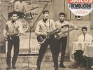 LOS SAICOS - Demolicion The Complete Recordings  LP   NEU  8435008832919