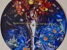 Tears For Fears. Woman in Chains, 12 inch vinyl, Picture Disc, 1993