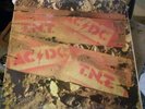 AC/DC T.N.T vinyl record