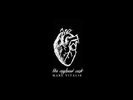NEW SUPER RARE The Appleseed Cast - Mare Vitalis Black Vinyl 2xLP x/150 level