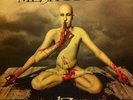 Meshuggah 