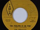 Northern Soul 45 MIRACLES Feeling Is So Fine TAMLA HEAR
