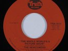 70s Soul 45 NEWCOMERS Whole World's A Picture Show TRUTH NM/VG++ HEAR