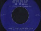JESS WILLARD Every Dog Has Ekko 1018 Country Rockabilly 45  Eddie Cochran VG++