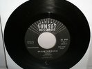 Adrian and The Sunsets Breakthrough Cherry Pie RARE SURF Original 63-602 PROMO