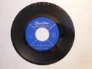 Larry & The Loafers / Lets Go To The Beach / SHURFINE / GARAGE 45 VG++