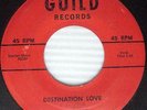 JAN DAVIS Destination Love / She Told Me 1958 ROCKABILLY 45 Guild 1900 w265 HEAR