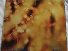 Steamhammer Reflection LP