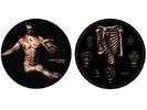 CALVA Y NADA Dias Felizes - LP / Picture Vinyl - Ltd.500