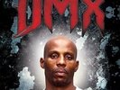 DMX Greatest Hits LP NEW VINYL X Ray Ruff Ryders