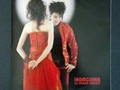 Indochine Le Grand Secret Double Vinyles 33 tours RARE