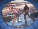 SKID ROW-WASTED TIME 12'' PICTURE DISC VINYL EX-poison-guns n roses-van halen