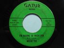 WILLIE TEE 45 Having So Much Fun GATUR holy grail New Orleans northern soul HEAR