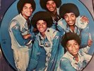 The Jacksons, The Jacksons Picture Vinyl Rare Michael Jackson