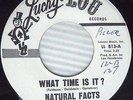 NATURAL FACTS What Time Is It b/w Girl GARAGE Popcorn NORTHERN SOUL 45 e326 HEAR