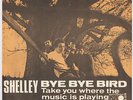SHELLEY Bye Bye Bird  M- Denmark *only* 45 by UK group GARAGE psych