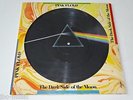 PINK FLOYD PICTURE DISC LP DARK SIDE OF THE MOON PROG ROCK |81