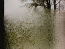 BON IVER - FOR EMMA,FOREVER AGO  VINYL LP NEW+