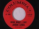 JUNIOR LEWIS: Hear What I Say 45 Soul