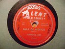 STAR TALENT 78 RECORD/ JOHNNIE BEE/ GULF OF MEXICO/YOU WANTED MANSIONS/ TEXAS VG